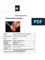 Angelene - PG1 - P4 - Investigation of The Enzymatic Effects of Materials On Hydrogen Peroxide.