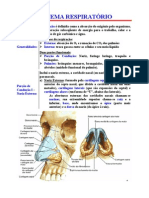 Sistema Respiratório