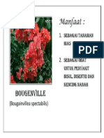 Bougenville PDF
