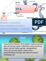 DNA 