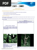 1. Evolução Humana