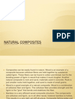 Natural Composites