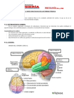 Bases Biologicas de La Actividad Psiquica