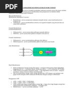 Download Fisiologi Metabolisme Dan Pengaturan Suhu Tubuh by Tia Arianti SN213138074 doc pdf
