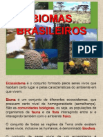6 Anos Biomas Brasileiros