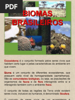 6 Anos Biomas Brasileiros