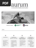 AURUM_Informe Perspectivas Económicas 2014, Región Arequipa_Marzo 2014