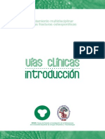 Geios 20110915082241 Vias Clinicas 1 Introduccion PDF