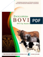 Enciclopedia Bovina PDF