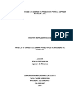 Entrega Costos de Produccion Definitivo PDF