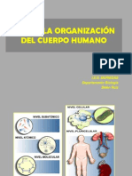 tema-1organizacic3b3n-del-cuerpo-humano.pdf