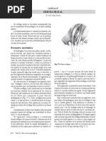 Download Hernia hiatalpdf by Jess Loreto SN213204794 doc pdf