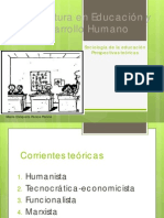 perspectivas_teoricas_se.pdf