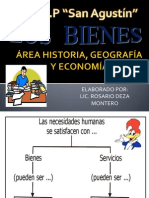 Los Bienes Economicos