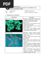 Download Bakteri Virus dan Fungi by irzfile SN213236031 doc pdf