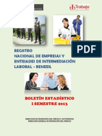 Boletin Estadistico Reneeil i Semestre 2013