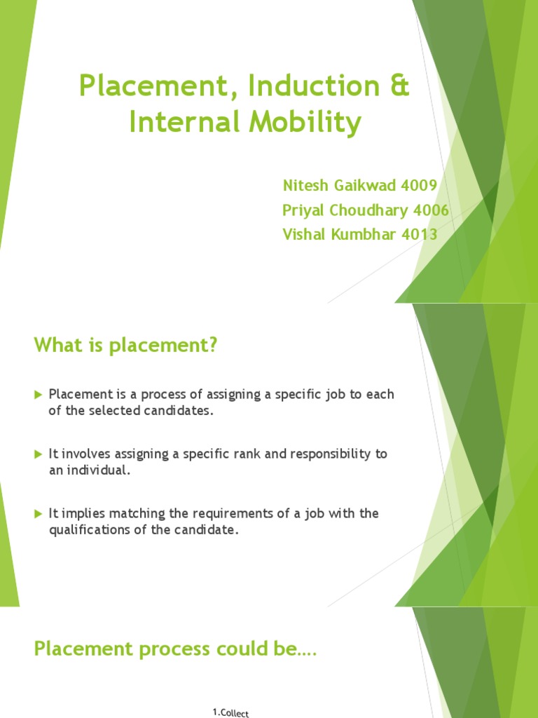 Placement, Induction & Internal Mobility HRM PDF Employment Human