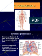 Anatomi Sistem Kardiovaskuler 2
