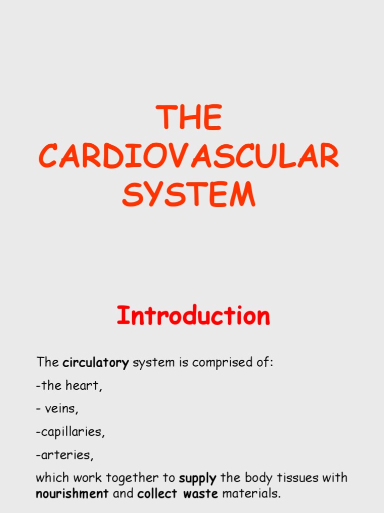 Circulatory System Overview and Arteries | PDF | Heart Valve | Heart