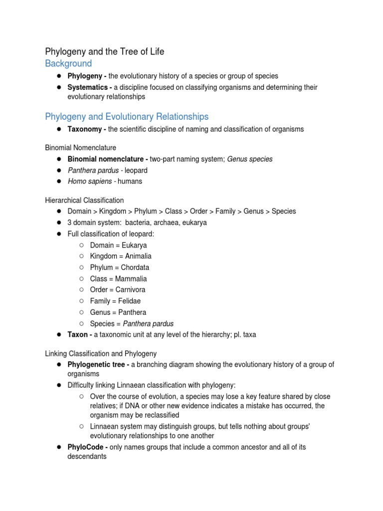 26 - Phylogeny and The Tree of Life | PDF