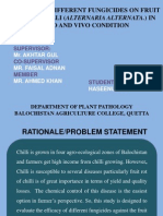 Efficacy of Different Fungicides On Fruit Rots of Chilli (Alternaria Alternata.) in Vitro and Vivo Condition
