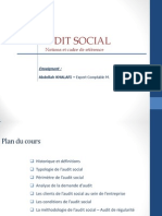 Support Audit Social Cours