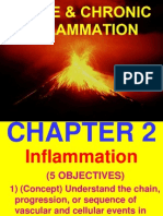 Acute and Chronic Inflamation