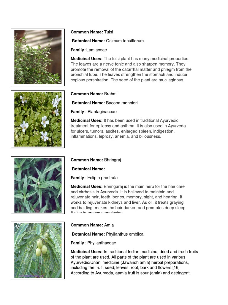 Medicinal PLants | PDF | Herbalism | Ayurveda