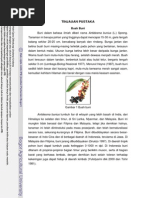 Download BAB II Tinjauan Pustaka Antosianin Dan Antioksidan by jojobaaaaaaaaa SN213297893 doc pdf