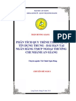 Phan Tich Quy Trinh Tham Dinh Tin Dung Trung Dai Han Tai Ngan Hang TMCP Ngoai Thuong Chi Nhanh An Giang