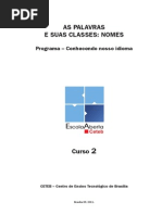 Conhecendo Nosso Idioma - Curso 2 - Nomes