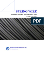 Springwire Xinhua 2006