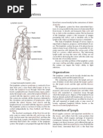 Download Lymphatic System by aay18bds SN213321300 doc pdf