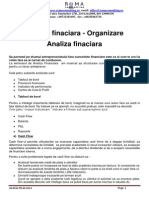 Cash Flow Analiza Financiara Si Organizare Seria II