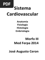Sistema Cardiovascular