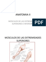 Anatomia II Musculos de Extremidades Sup - Inf.