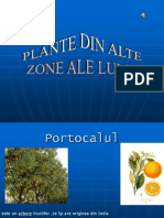 Planted in Alte Zone
