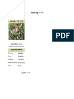 Download Aves by Rathy_alunna SN21336302 doc pdf