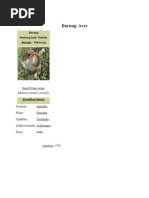 Download Aves by Rathy_alunna SN21336302 doc pdf