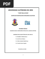 INFORME INSPECCION DE PECES EN RIO MAMORE- BENI.pdf
