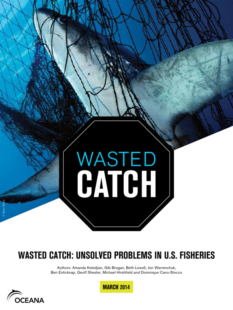 Oceana Bycatch Report, PDF, Trawling