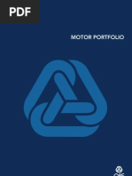 Motor Portfolio