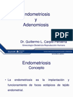 2o Endometriosis y 17992