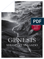 Su Salgado Genesis Teaser 1304161144 Id 684118