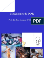 Aula Nivelamento Neurociencias (1)