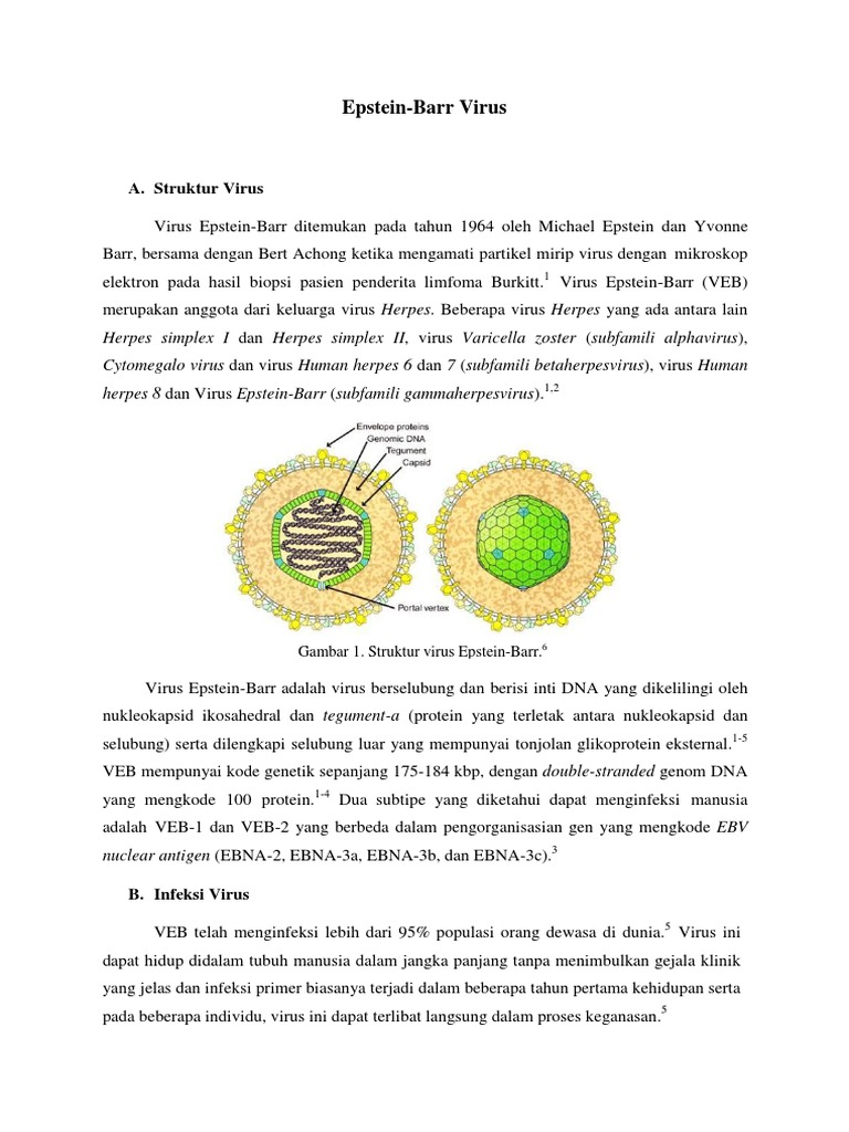 LTM - Ebv | PDF | Sains & Matematika