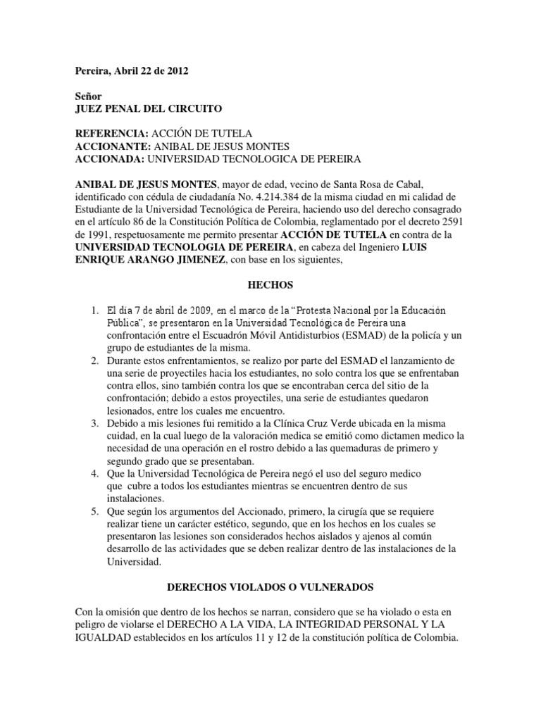 Accion de Tutela Ejemplo