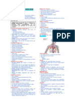 PRIMEROS AUXILIOS.doc