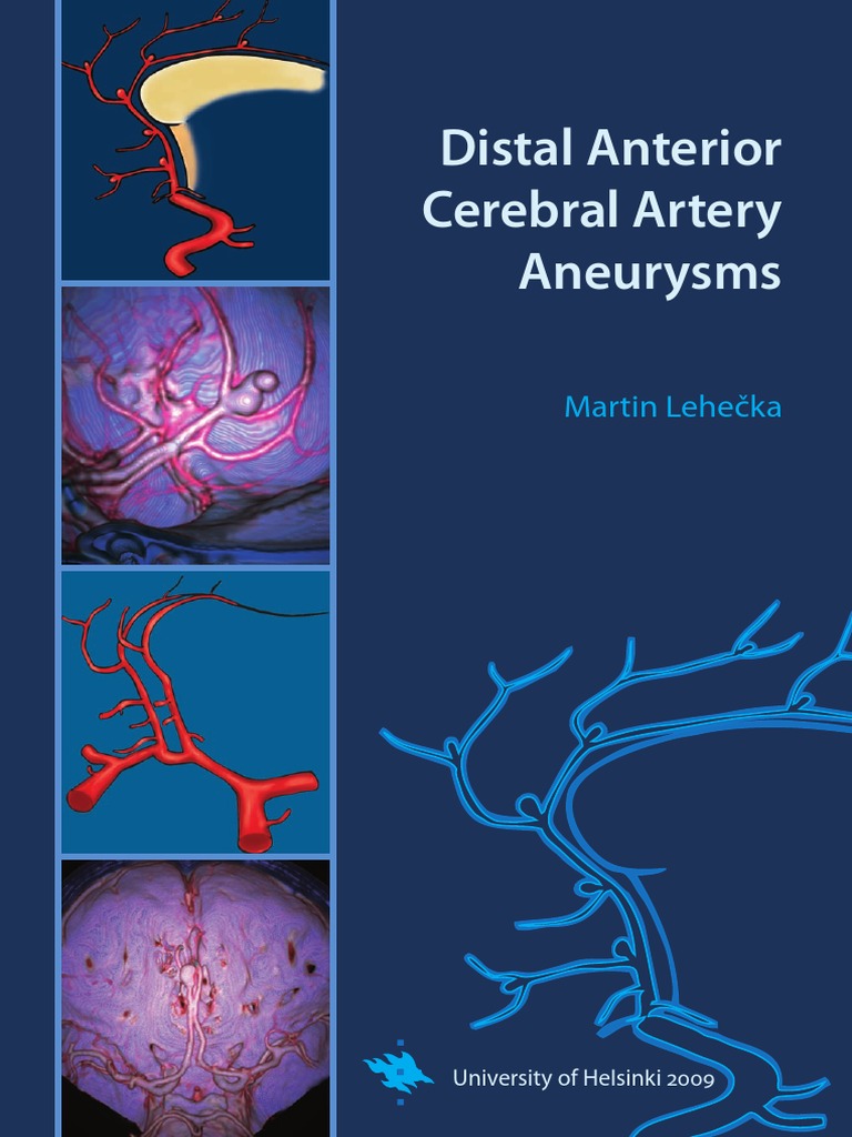 Distal An | PDF | Angiography | Cardiovascular System