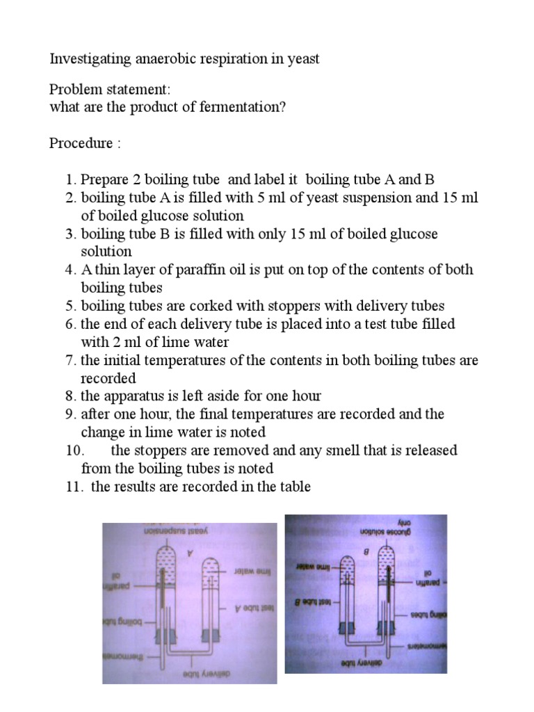 Investigating Anaerobic Respiration in Yeast